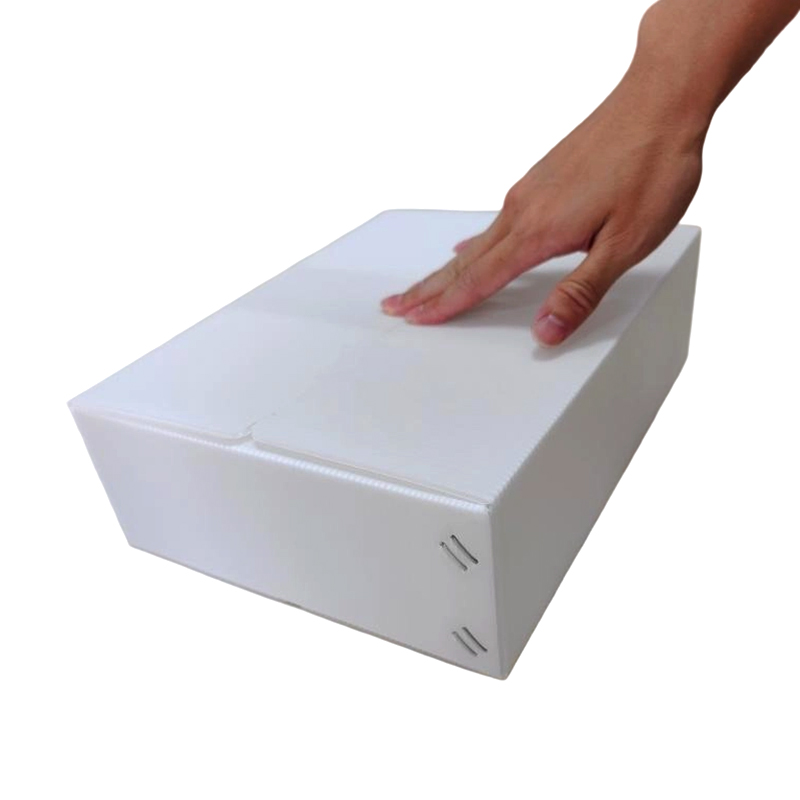 Stackable Small Rectangular PP Corrugated Plastic Box