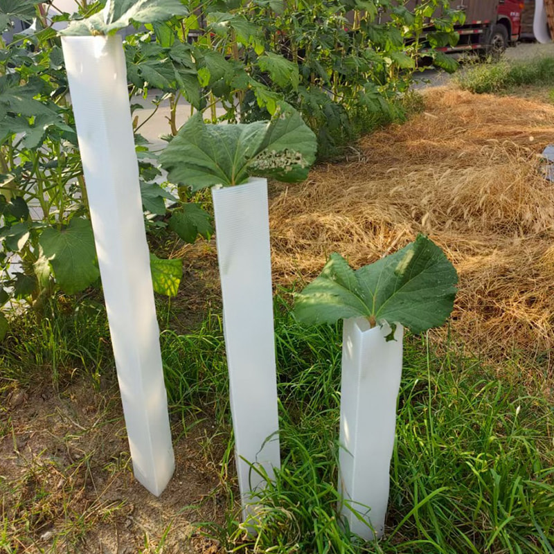 Anti Bite Corrugated Plastic Sapling Tree Protection Tube