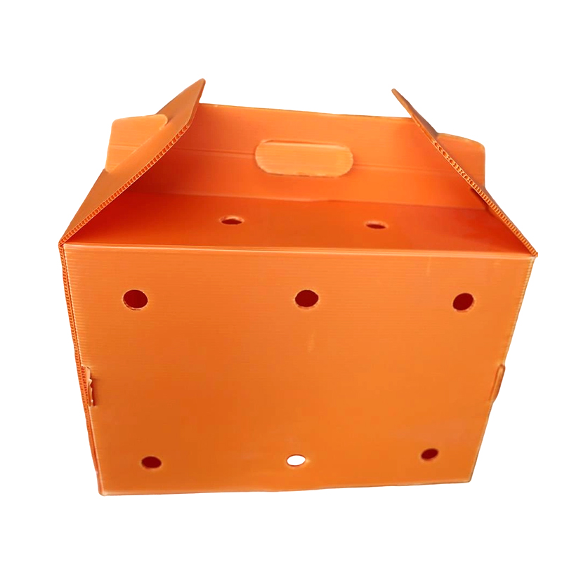 Collapsible Multi Air Hole Corrugated Plastic Pet Carrier