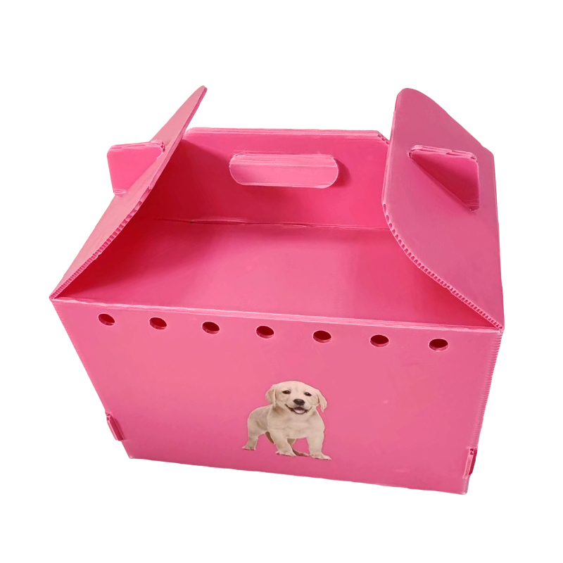 Collapsible Multi Air Hole Corrugated Plastic Pet Carrier