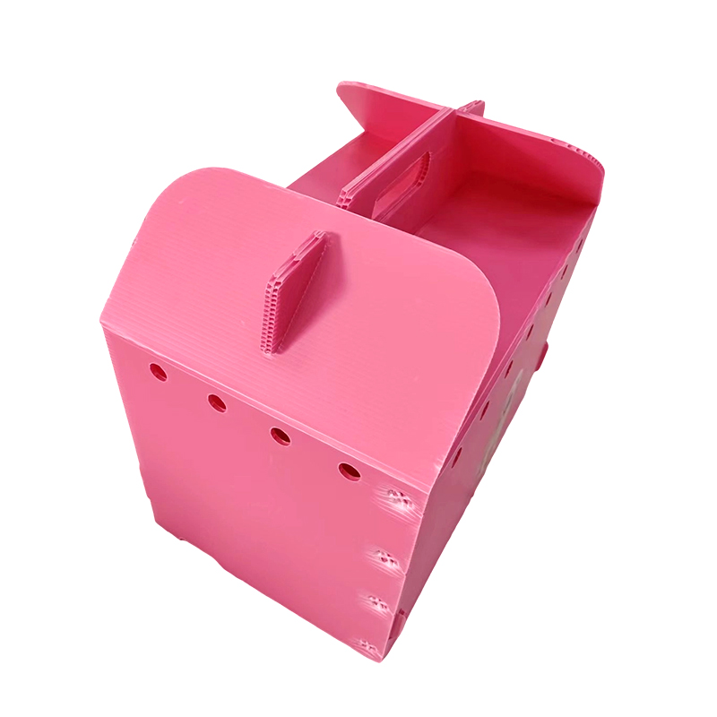 Collapsible Multi Air Hole Corrugated Plastic Pet Carrier