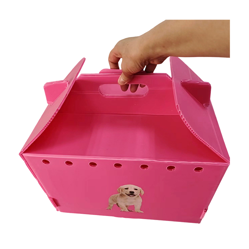 Collapsible Multi Air Hole Corrugated Plastic Pet Carrier
