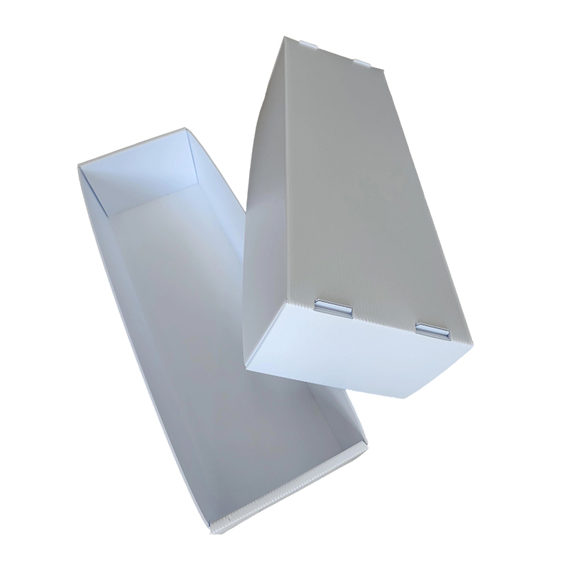 Moisture-proof Stackable Corflute Plastic Seafood Box