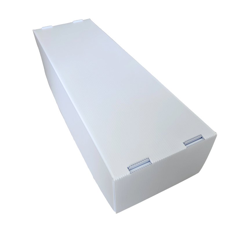 Moisture-proof Stackable Corflute Plastic Seafood Box