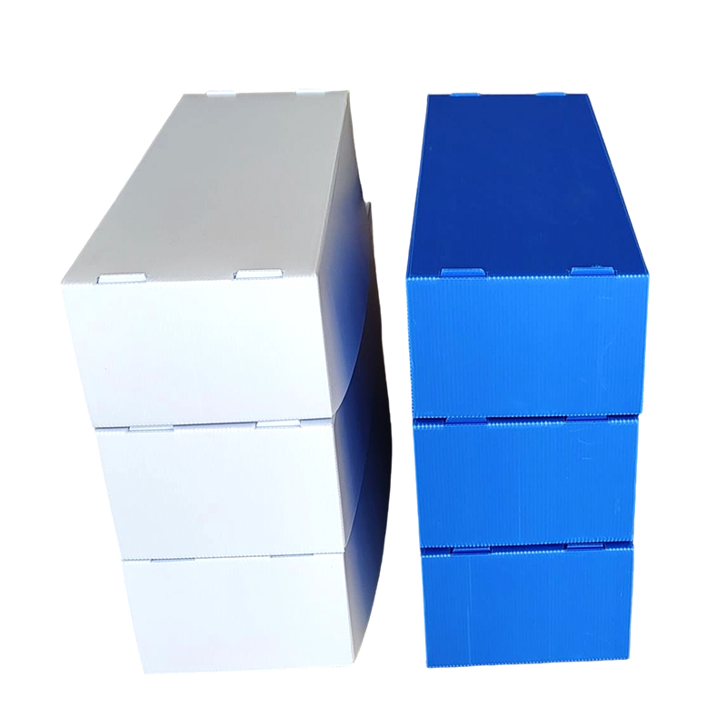 Moisture-proof Stackable Corflute Plastic Seafood Box