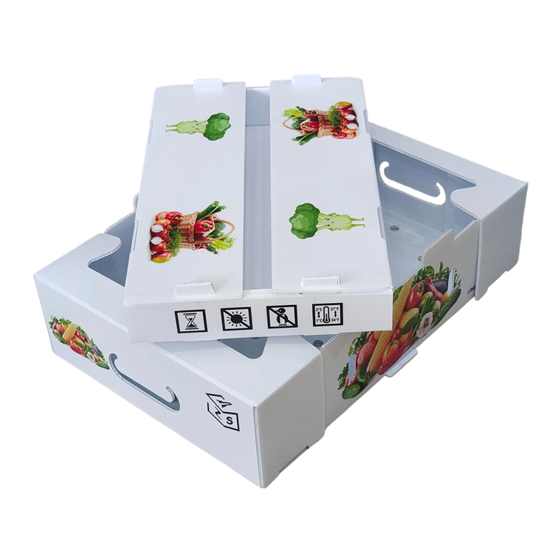 Moistureproof Custom Printed PP Corrugated Plastic Fruit Turnover Box