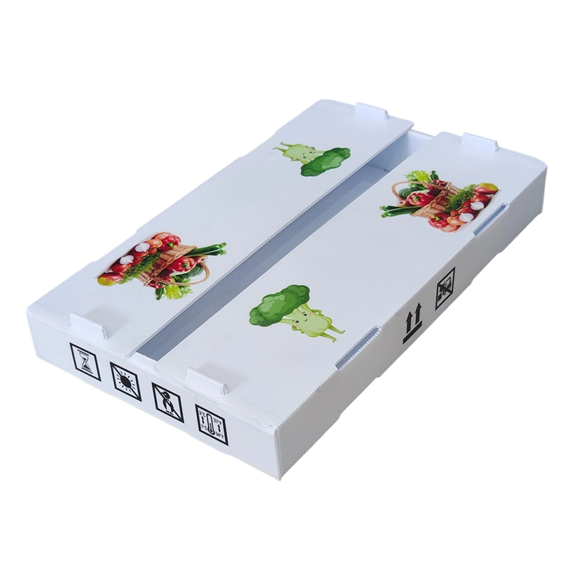 Moistureproof Custom Printed PP Corrugated Plastic Fruit Turnover Box
