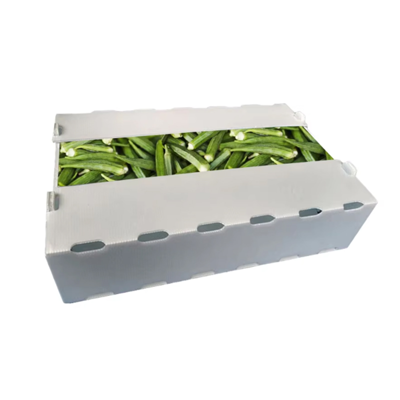 Moistureproof Custom Printed PP Corrugated Plastic Fruit Turnover Box