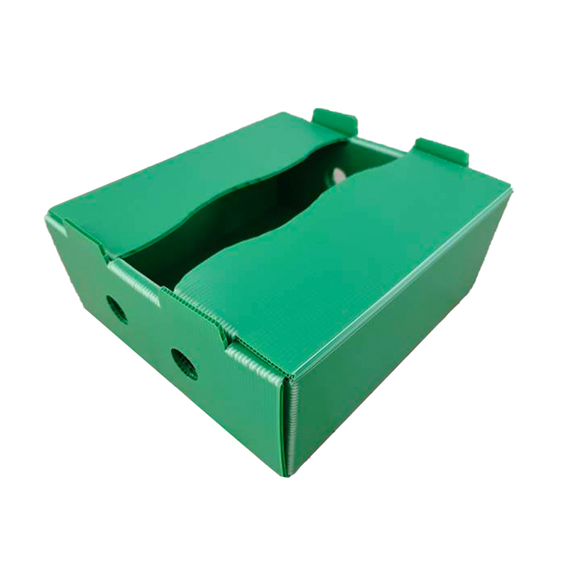 Moistureproof Custom Printed PP Corrugated Plastic Fruit Turnover Box