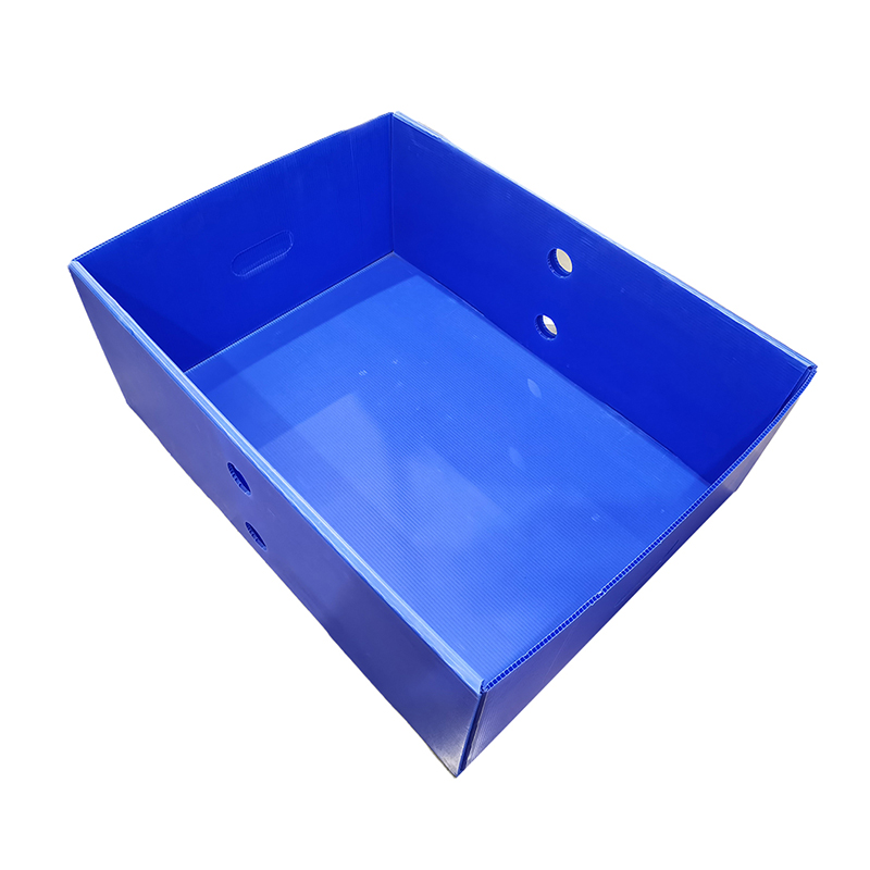 Reusable Corrugated Plastic Top and Bottom Cover Box