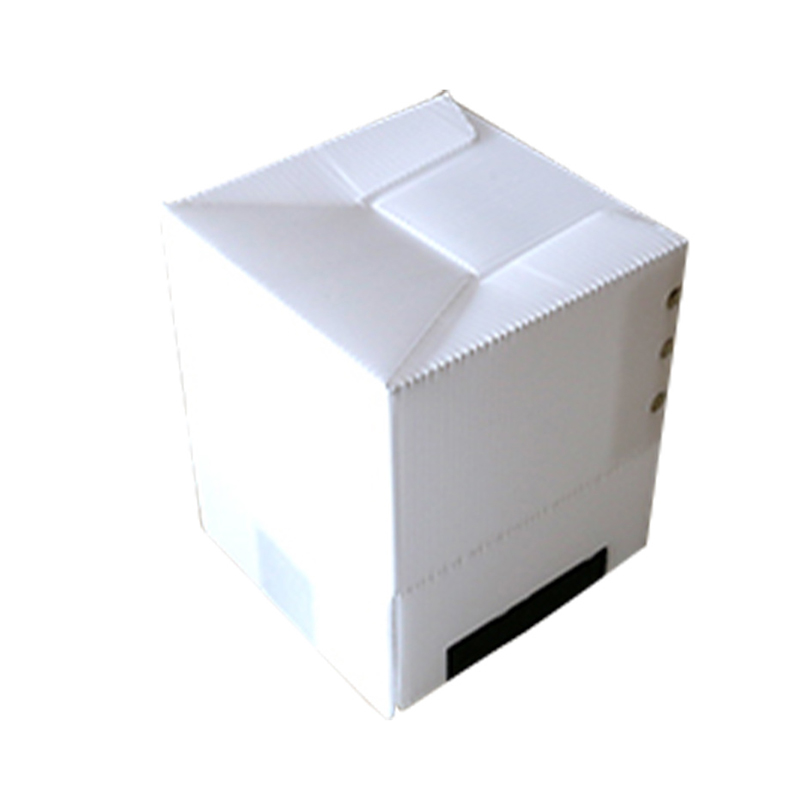 Square Recyclable PP Corrugated Hollow Sheet Box with Velcro Fastener