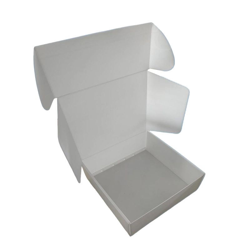 Sturdy Anti-Moisture Corrugated PP Plastic Airplane Mailer Box