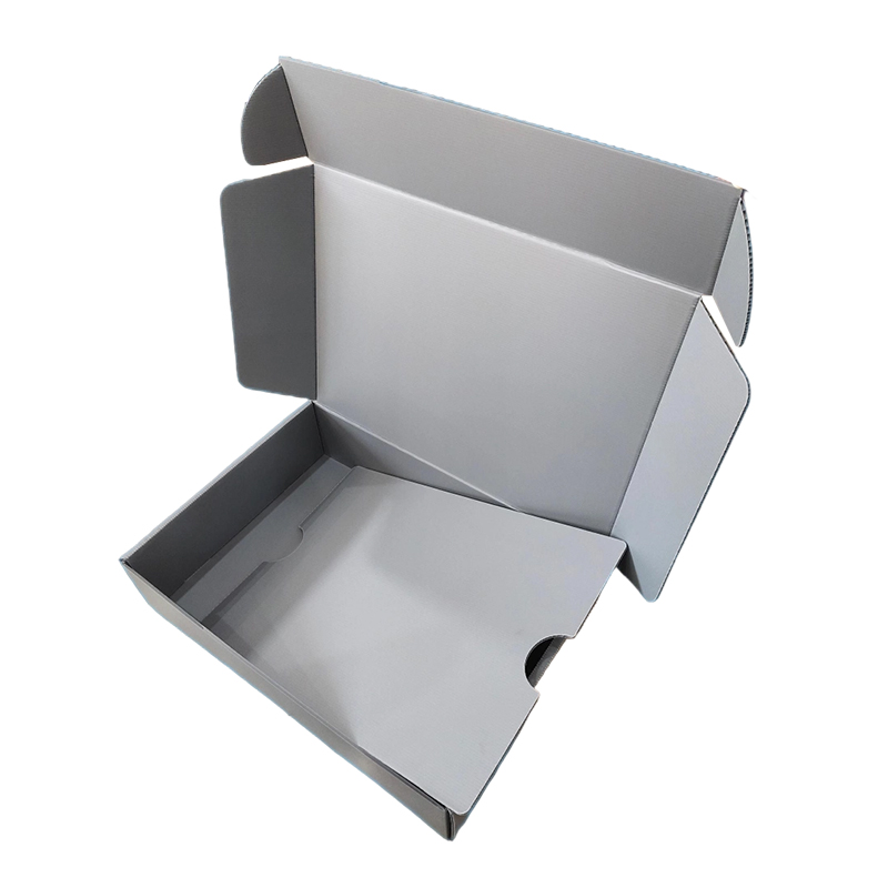 Sturdy Anti-Moisture Corrugated PP Plastic Airplane Mailer Box