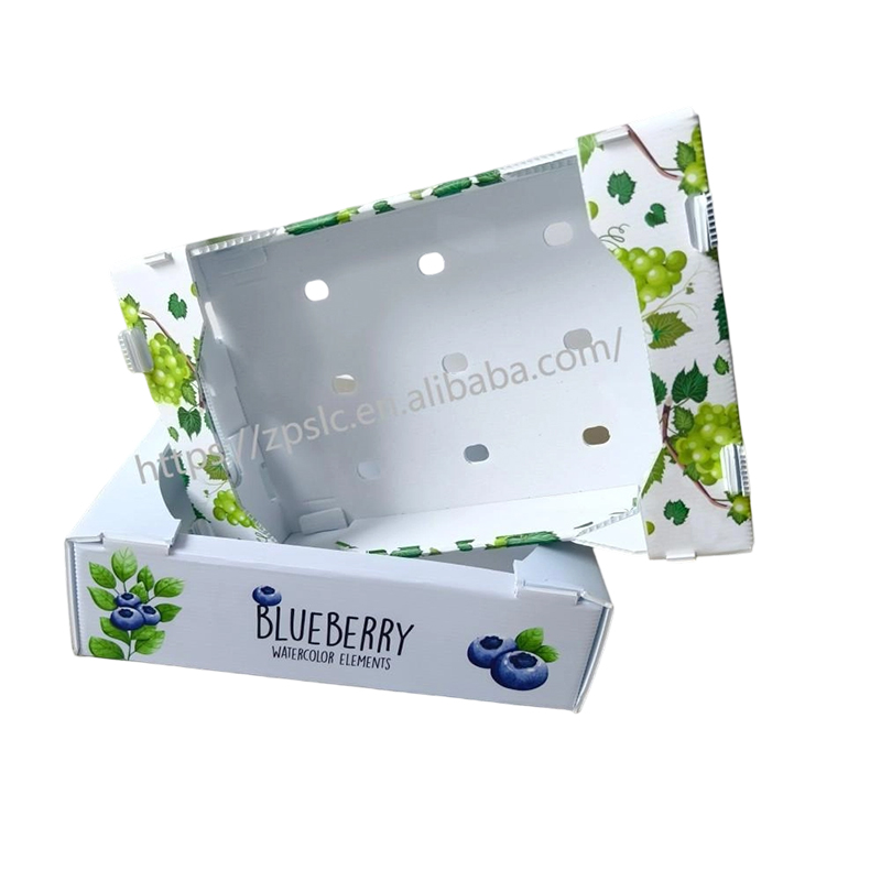 Foldable PP Corrugated Plastic Turnover Box with Ventilation Holes
