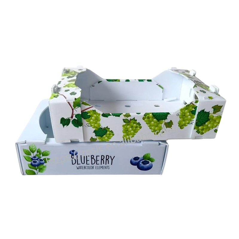 Foldable PP Corrugated Plastic Turnover Box with Ventilation Holes