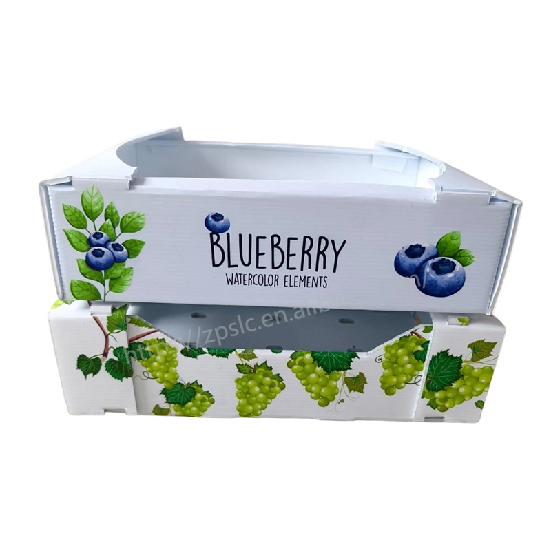 Foldable PP Corrugated Plastic Turnover Box with Ventilation Holes