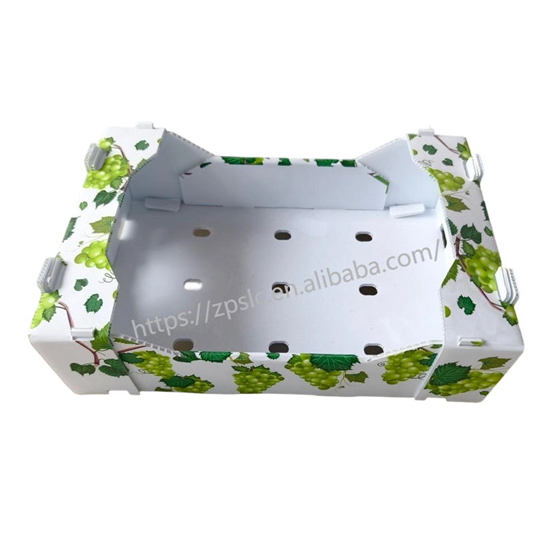 Foldable PP Corrugated Plastic Turnover Box with Ventilation Holes