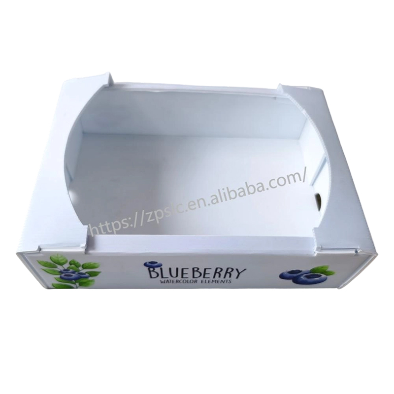 Foldable PP Corrugated Plastic Turnover Box with Ventilation Holes