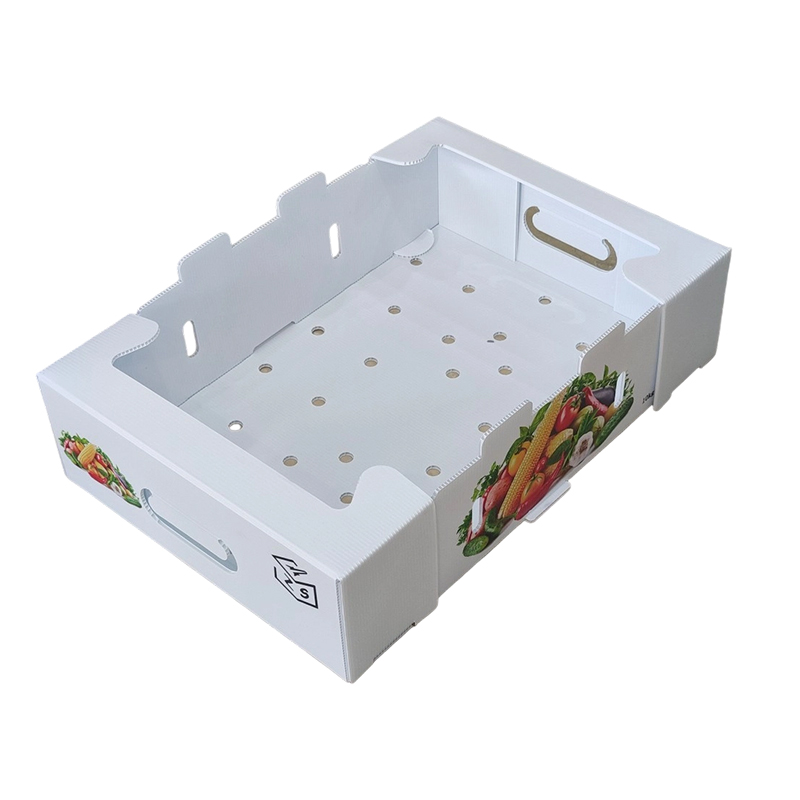 Foldable PP Corrugated Plastic Turnover Box with Ventilation Holes