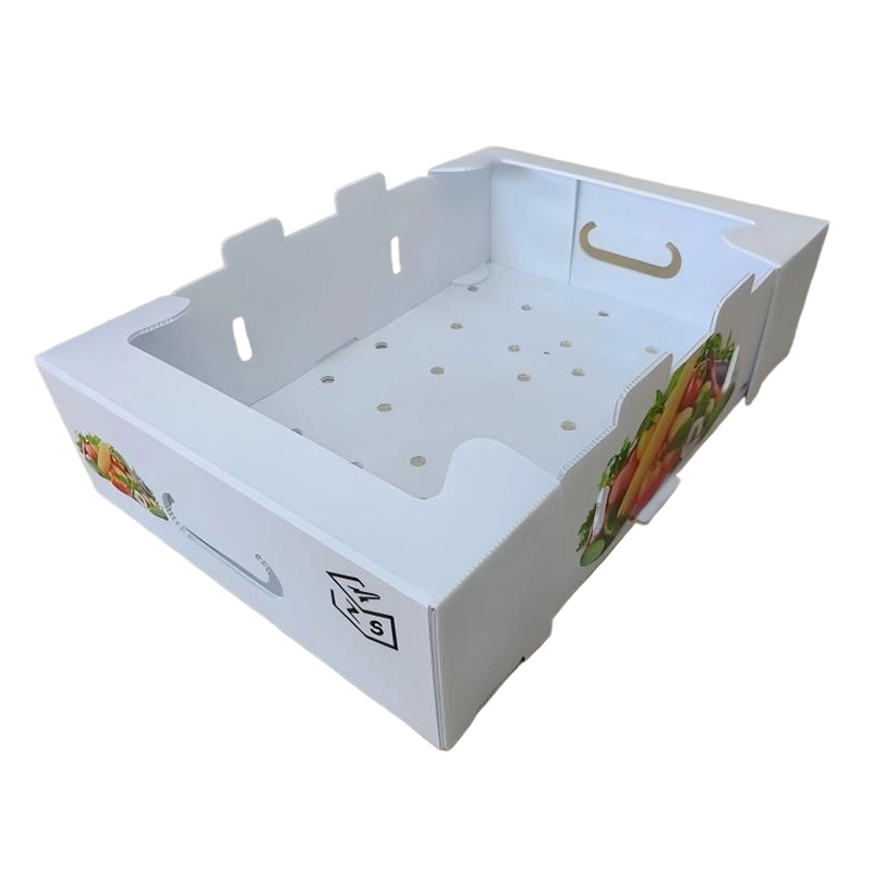 Foldable PP Corrugated Plastic Turnover Box with Ventilation Holes