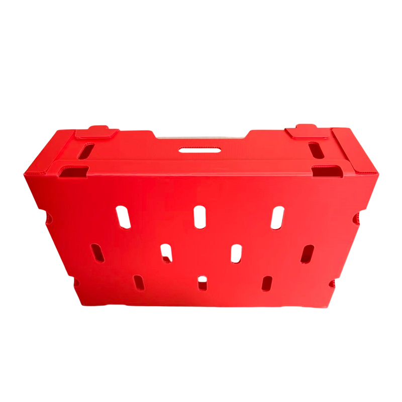 Foldable Printed PP Corrugated Box for Vegetable & Fruit