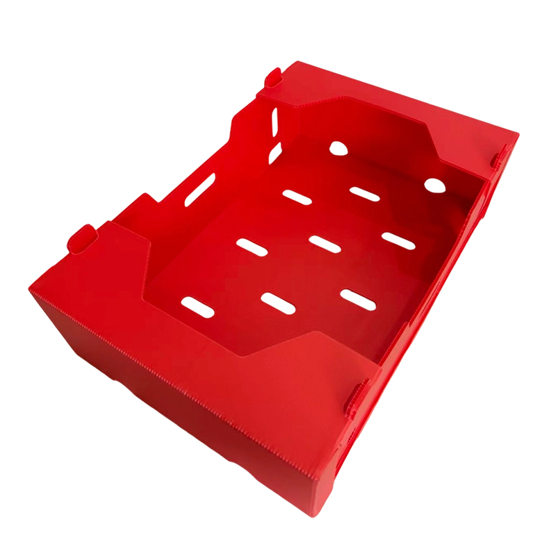 Foldable Printed PP Corrugated Box for Vegetable & Fruit