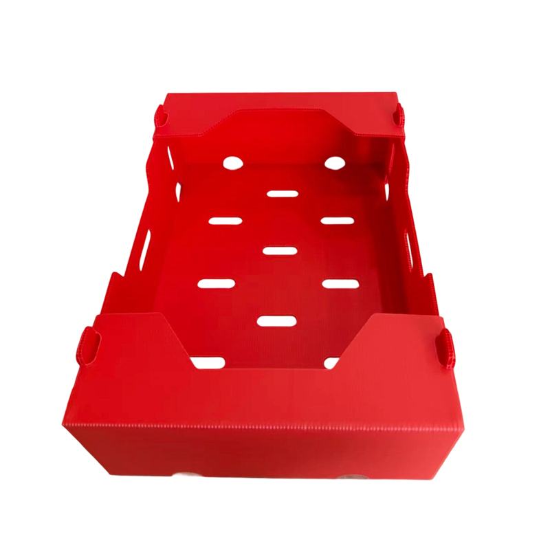Foldable Printed PP Corrugated Box for Vegetable & Fruit