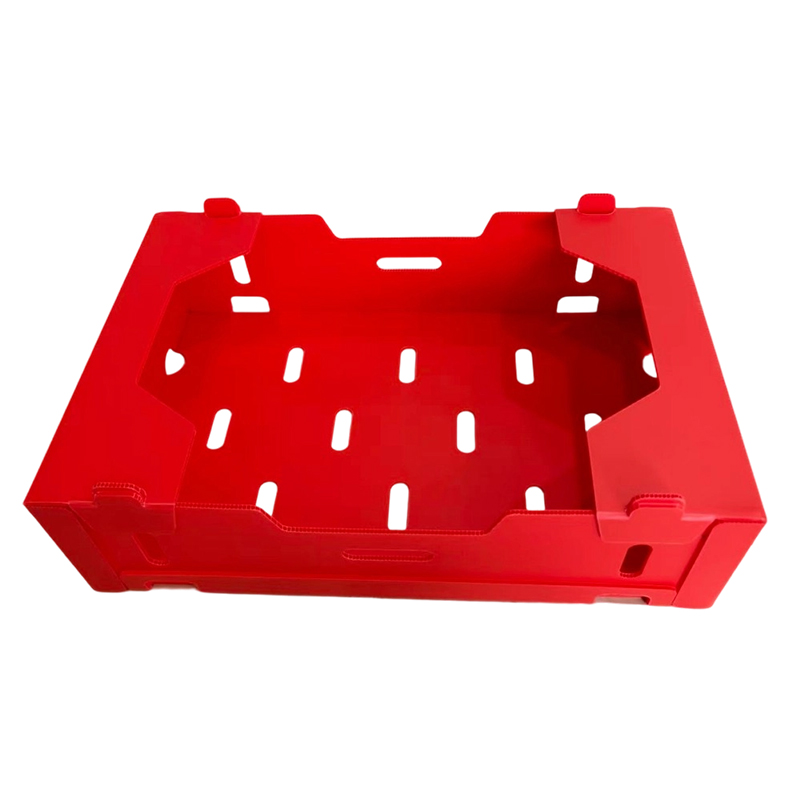 Foldable Printed PP Corrugated Box for Vegetable & Fruit