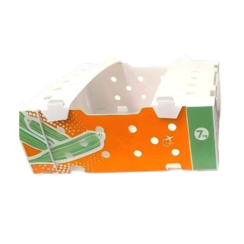 Foldable Printed PP Corrugated Box for Vegetable & Fruit