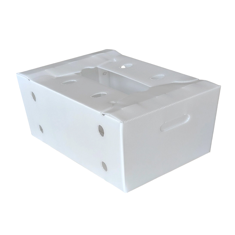 Open Top Stackable Plastic Corrugated Fruit Packing Box