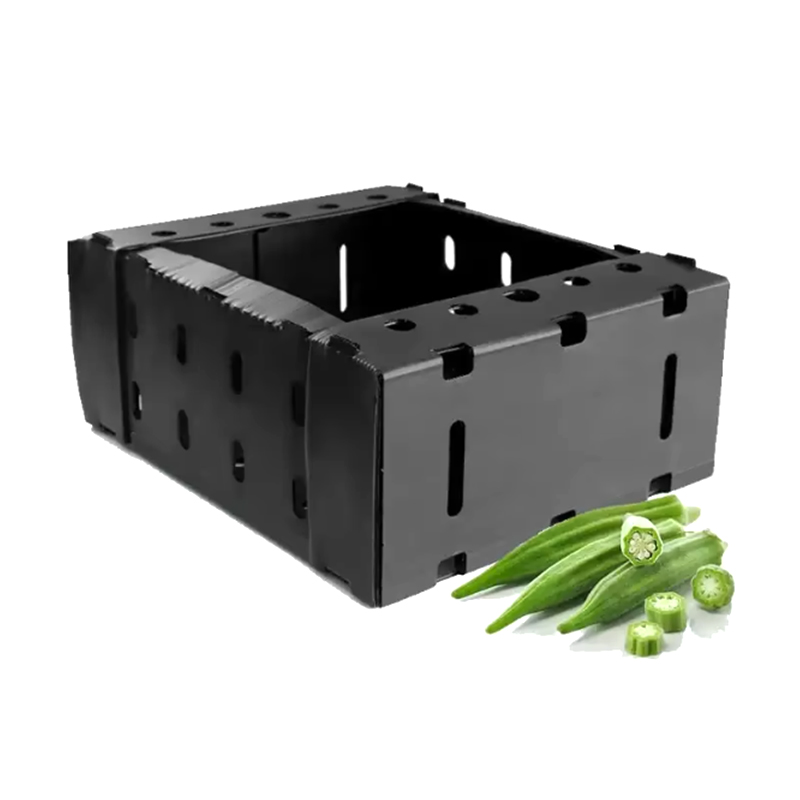 Open Top Stackable Plastic Corrugated Fruit Packing Box