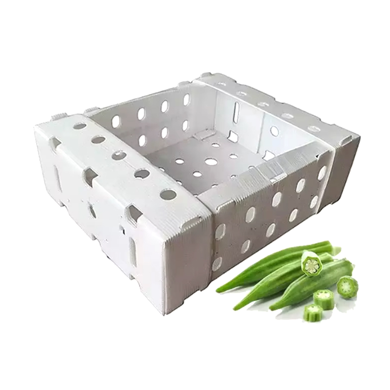 Open Top Stackable Plastic Corrugated Fruit Packing Box