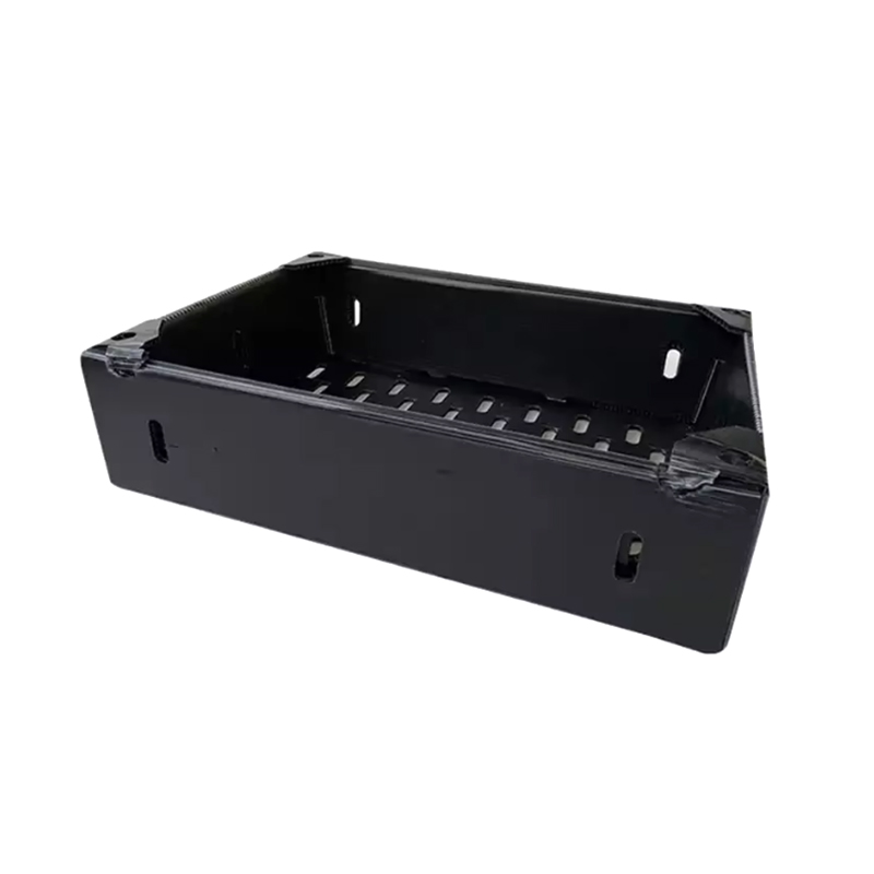 Open Top Stackable Plastic Corrugated Fruit Packing Box