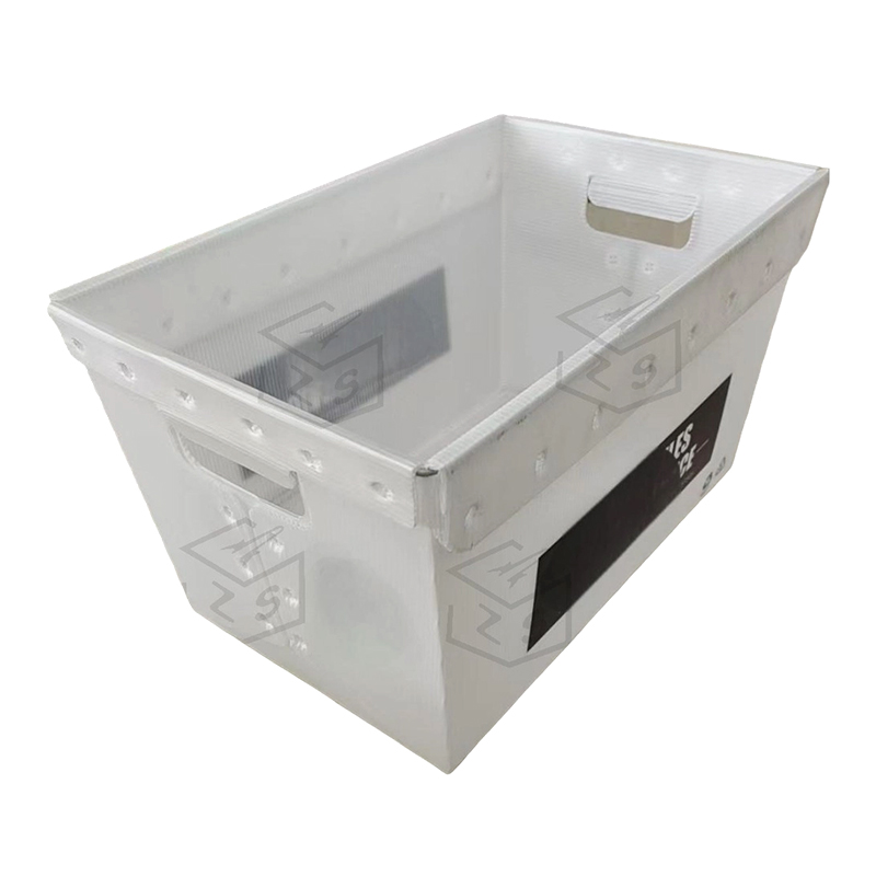 Recyclable Corrugated Plastic Mail Container