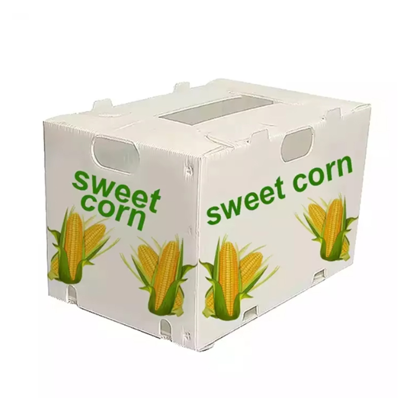 Reusable Waterproof PP Corflute Fruit Box
