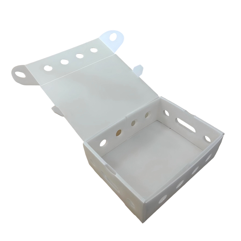 Stackable Ventilated PP Hollow Sheet Packaging Box
