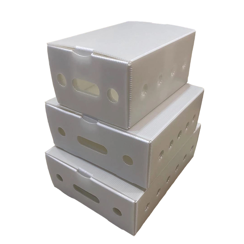 Stackable Ventilated PP Hollow Sheet Packaging Box