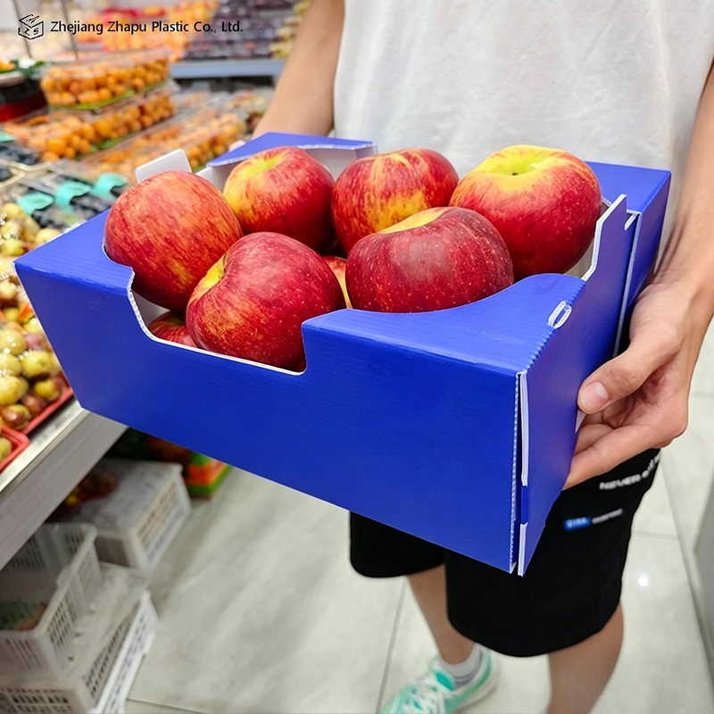 Foldable Printed PP Corrugated Box for Vegetable & Fruit