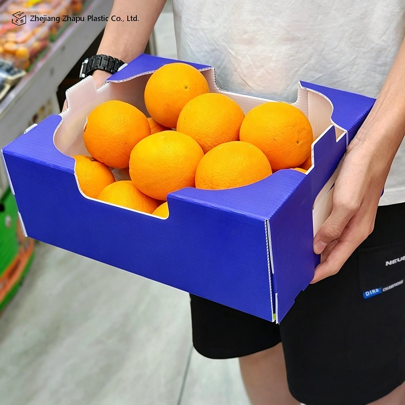 Foldable Printed PP Corrugated Box for Vegetable & Fruit