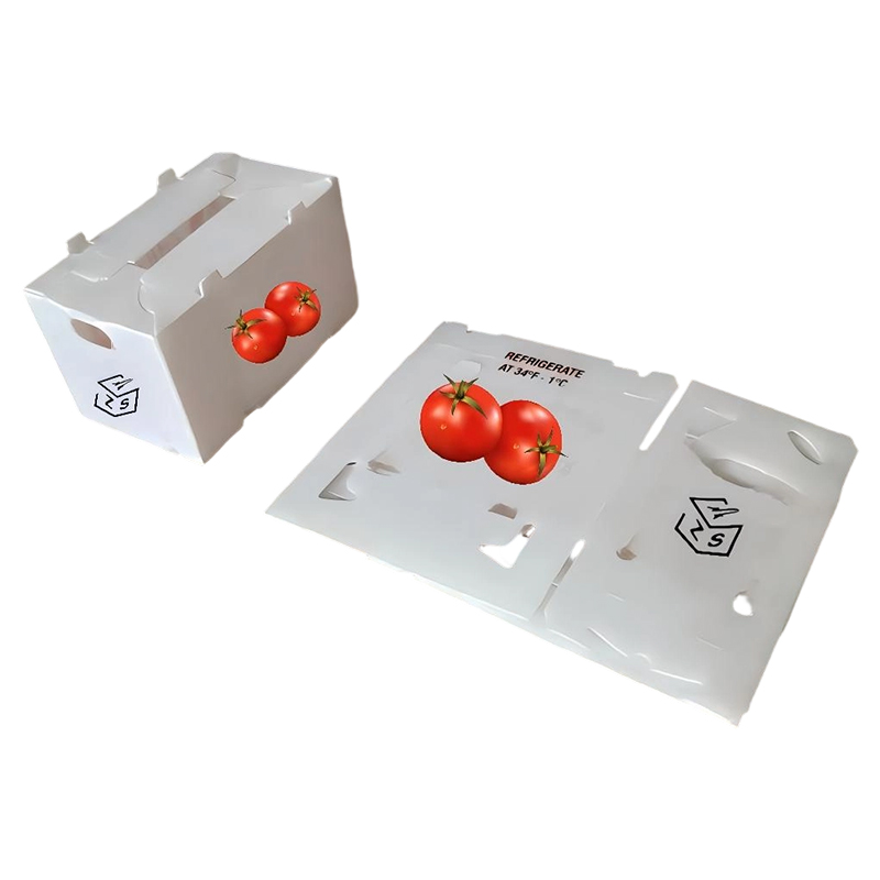 Ventilated Custom Printed PP Corrugated Plastic Fruit & Vegetable Box